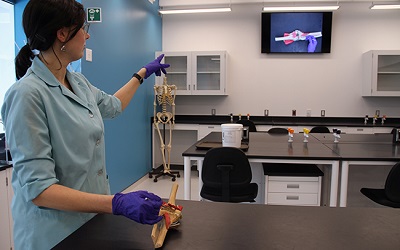Anatomy students receive a helping hand from innovative pedagogical approach